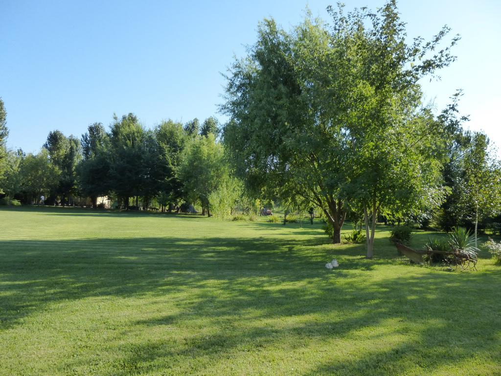Agriturismo Ai Carpini Marcon Exterior foto
